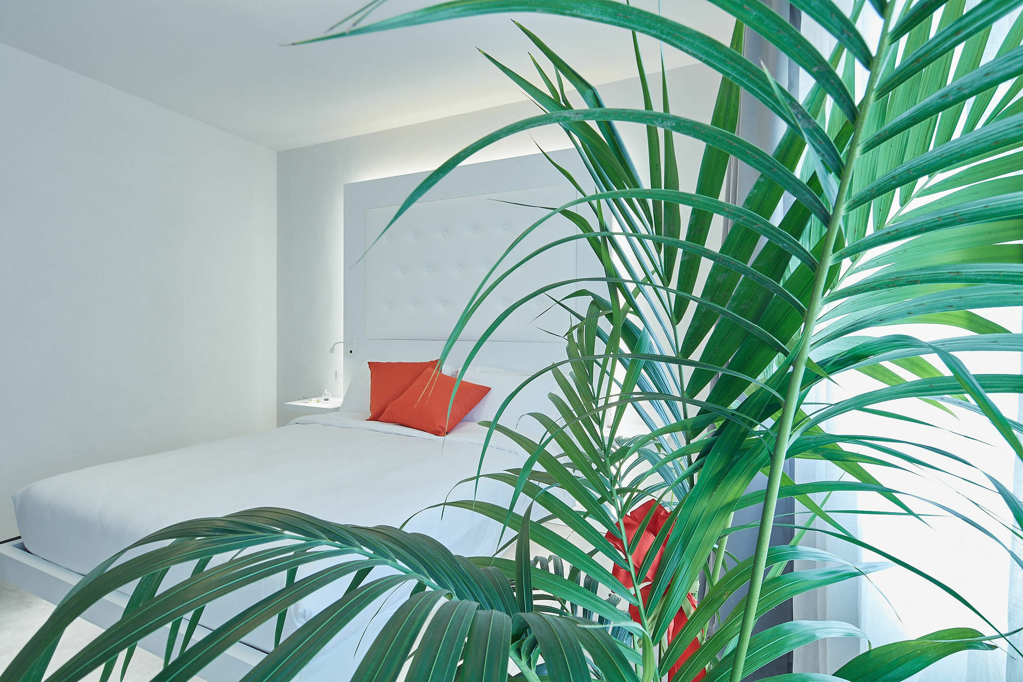 B&B Via Roma 25 Ареццо Экстерьер фото